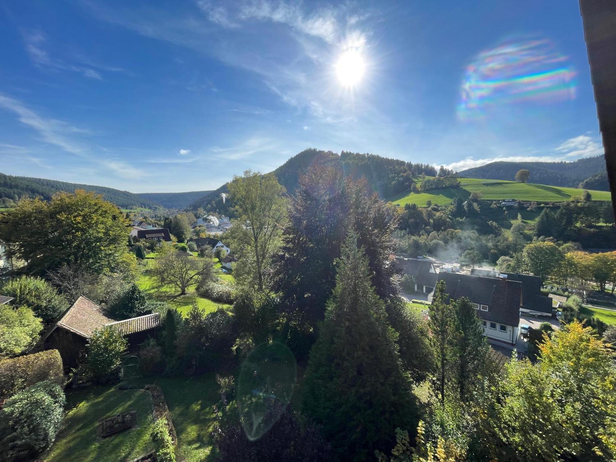 B&B Apart Hotel Goldener Hahn - Nahe An Gartenschau Tal X Baiersbronn Zimmer foto